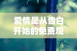 爱情是从告白开始的免费观看全集  第1张