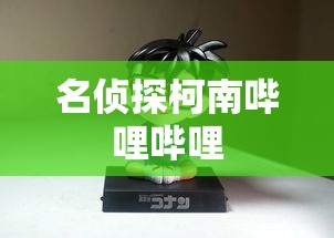 名侦探柯南哔哩哔哩  第1张
