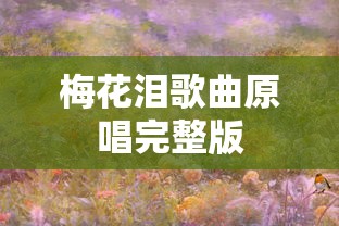 梅花泪歌曲原唱完整版  第1张