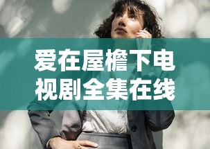 爱在屋檐下电视剧全集在线观看  第1张