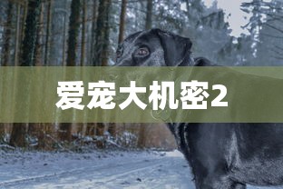 爱宠大机密2  第1张