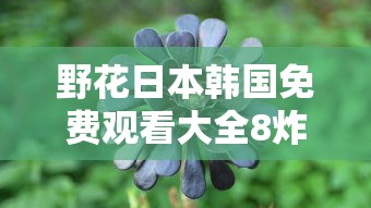 野花日本韩国免费观看大全8炸金花  第1张
