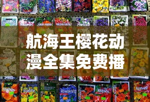 航海王樱花动漫全集免费播放地址  第1张