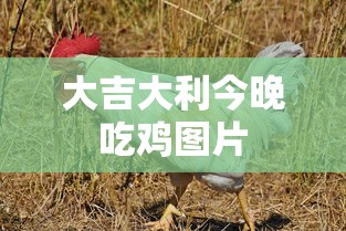 大吉大利今晚吃鸡图片  第1张
