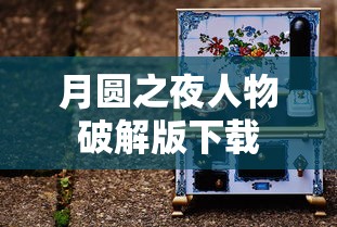 月圆之夜人物破解版下载  第1张