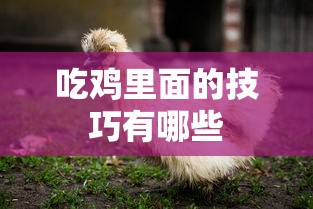 吃鸡里面的技巧有哪些  第1张