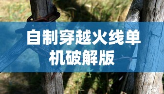 自制穿越火线单机破解版  第1张