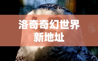 洛奇奇幻世界新地址  第1张