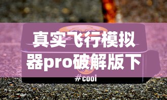 真实飞行模拟器pro破解版下载  第1张
