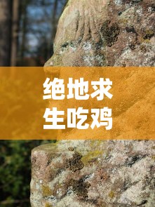 绝地求生吃鸡攻略在哪  第1张