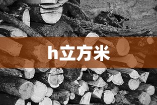 h立方米  第1张