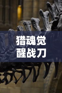 猎魂觉醒战刀做哪一把好  第1张