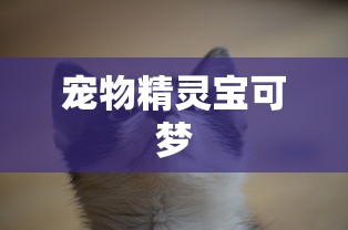 宠物精灵宝可梦  第1张