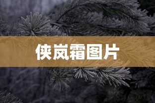 生死狙击ak47天神技能  第1张