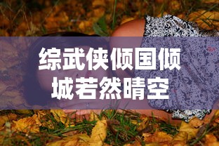 综武侠倾国倾城若然晴空  第1张