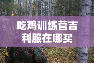 吃鸡训练营吉利服在哪买  第1张