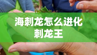 海刺龙怎么进化刺龙王  第1张