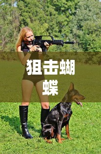 狙击蝴蝶  第1张