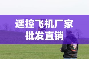 遥控飞机厂家批发直销  第1张