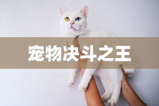 宠物决斗之王  第1张