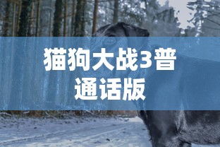 猫狗大战3普通话版  第1张