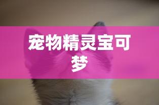 宠物精灵宝可梦  第1张