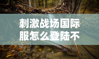 刺激战场国际服怎么登陆不上去  第1张