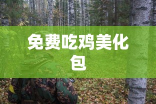 免费吃鸡美化包  第1张