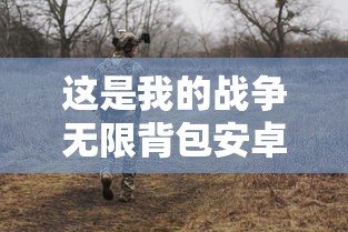 这是我的战争无限背包安卓版  第1张