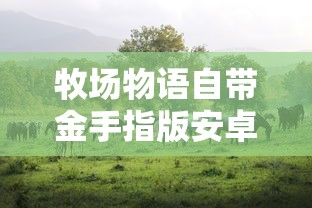牧场物语自带金手指版安卓  第1张
