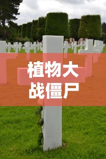 植物大战僵尸无尽版下载安装  第1张