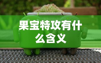 果宝特攻有什么含义  第1张