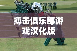 搏击俱乐部游戏汉化版  第1张