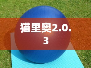 猫里奥2.0.3  第1张