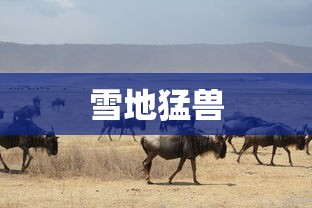 雪地猛兽  第1张