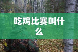 吃鸡比赛叫什么  第1张