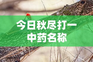 今日秋尽打一中药名称  第1张
