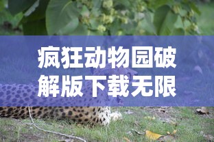 疯狂动物园破解版下载无限金币版  第1张
