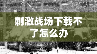 刺激战场下载不了怎么办  第1张