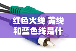 红色火线 黄线和蓝色线是什么  第1张