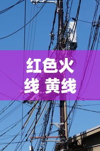 红色火线 黄线和蓝色线是什么  第1张