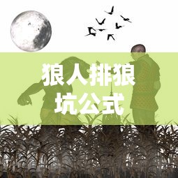 狼人排狼坑公式  第1张