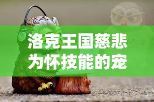 洛克王国慈悲为怀技能的宠物  第1张