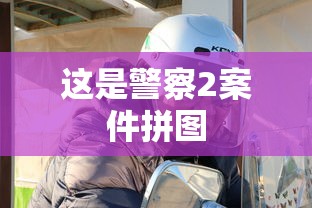 这是警察2案件拼图  第1张
