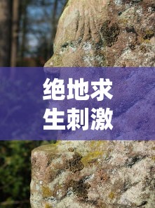 绝地求生刺激战场攻略技巧视频  第1张