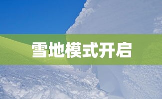 雪地模式开启  第1张