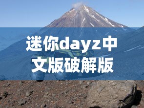 迷你dayz中文版破解版下载  第1张