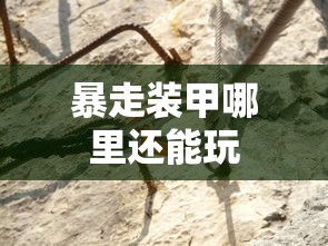 暴走装甲哪里还能玩  第1张