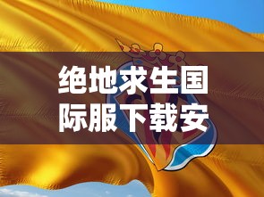 绝地求生国际服下载安装  第1张