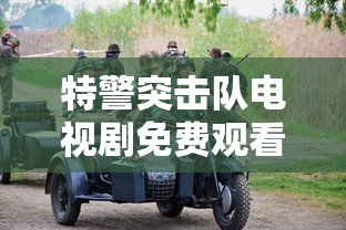 特警突击队电视剧免费观看  第1张